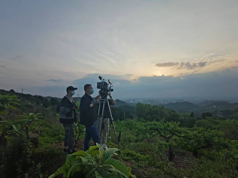 创意破圈！京山县电商产品宣传视频用故事化叙事引爆流量